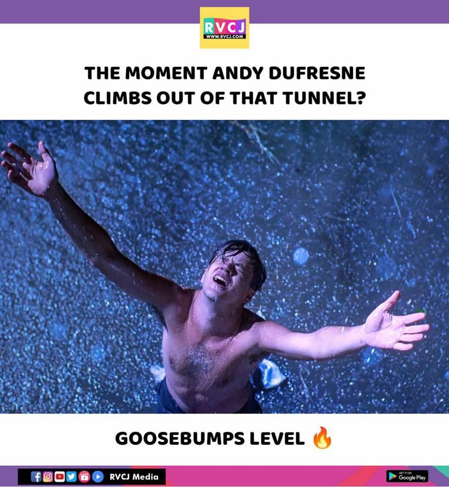 rvcjmovies's tweet image. This scene from The Shawshank Redemption 🔥
#theshawshankredemption