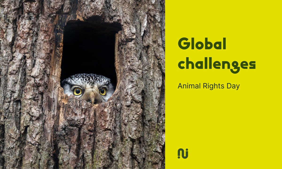 🐾 Celebrating #AnimalRightsDay

At #GiC, we're committed to creating cities where humans &amp; non-human species thrive together.

Our One Health approach recognises the deep link between the health of people, animals, plants &amp; the environment. 

Find out: greenincities.eu/media/one-heal…