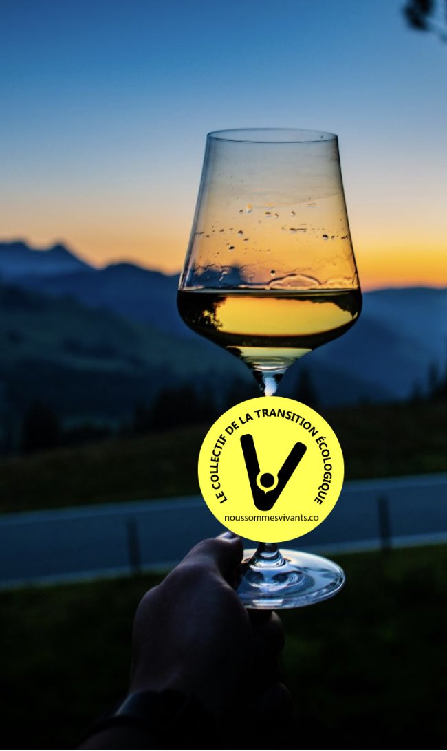 Les vins et champagnes regeneratifs du vivant levidepoches.fr/lesupercollect…