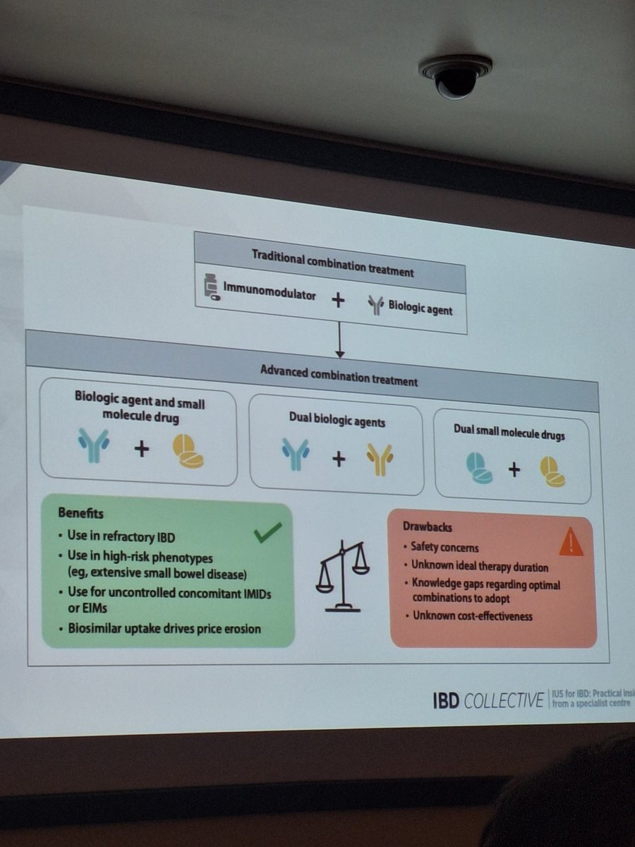 Sara Nikolić tweet media