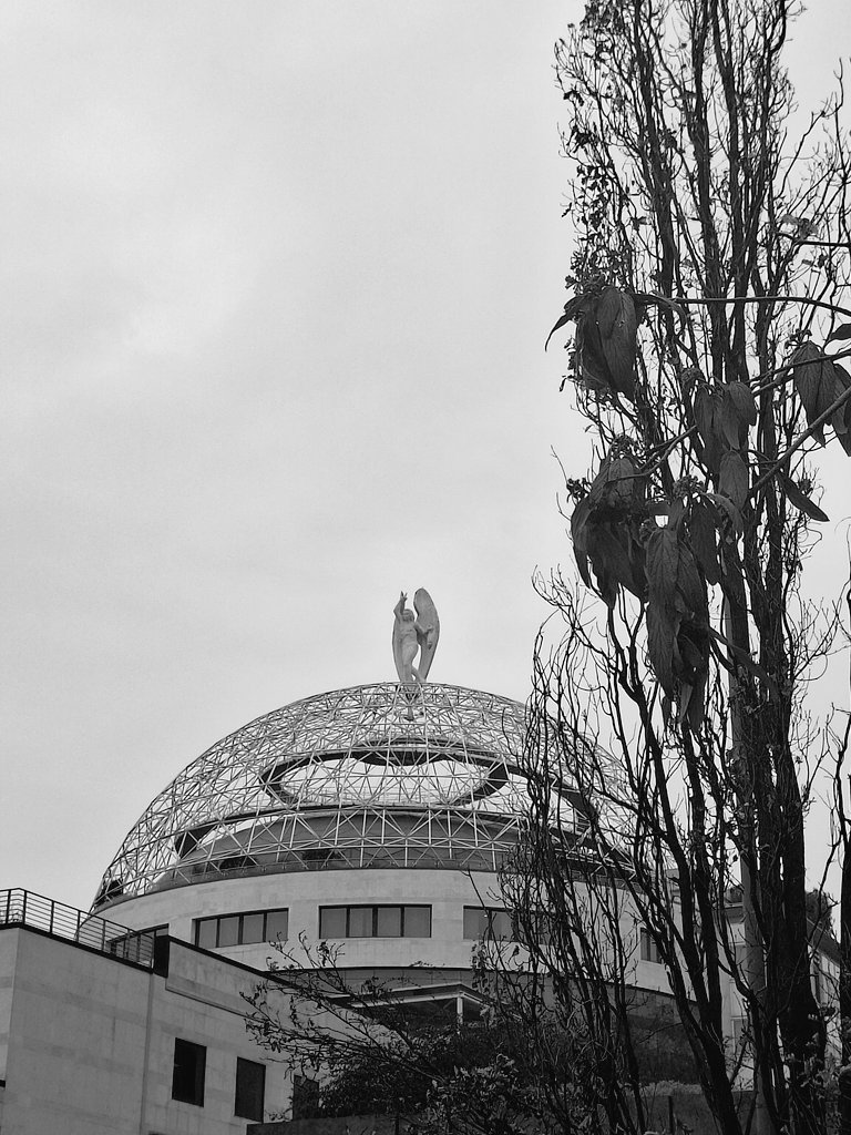 Sara Nikolić tweet media