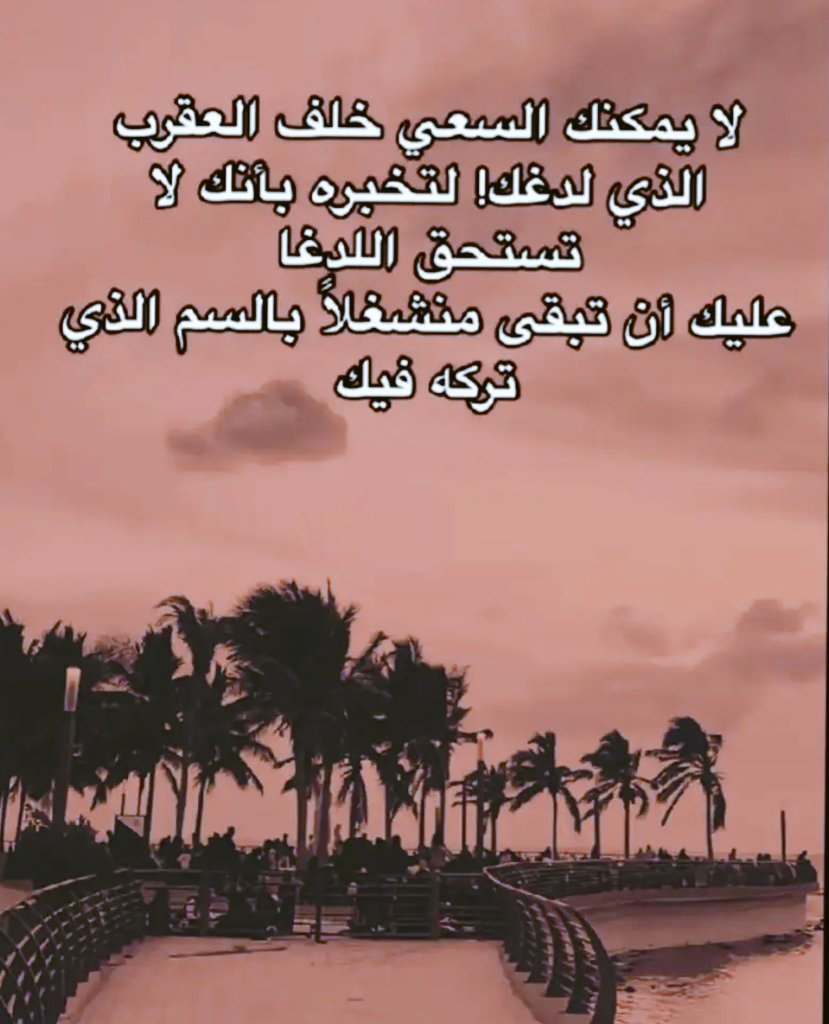 mes0___'s tweet image. 