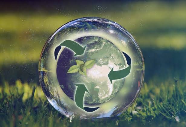 tree_adoptionug's tweet photo. A clean planet is essential for our future 🌍✨. Protecting nature, reducing waste, and conserving resources ensures a healthier environment for all 🌱🌿. Let's all play our part in creating a sustainable, thriving world 🌎💚 #EcoFriendly #Sustainability #CleanPlanet https://t.co/fQqZk6E3T9