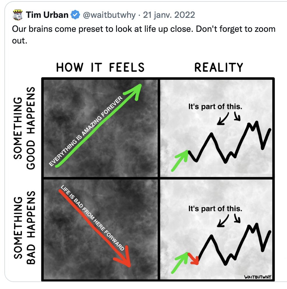 Need some help gaining perspective? 🤔 Wave has your back 🎯 (From Tim Urban)