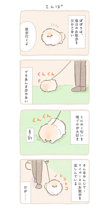 ふわふわポメのぽぽち続編〜まとめ中編 (2/9) 