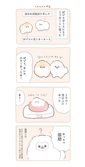 ふわふわポメのぽぽち続編〜まとめ中編 (5/9) 