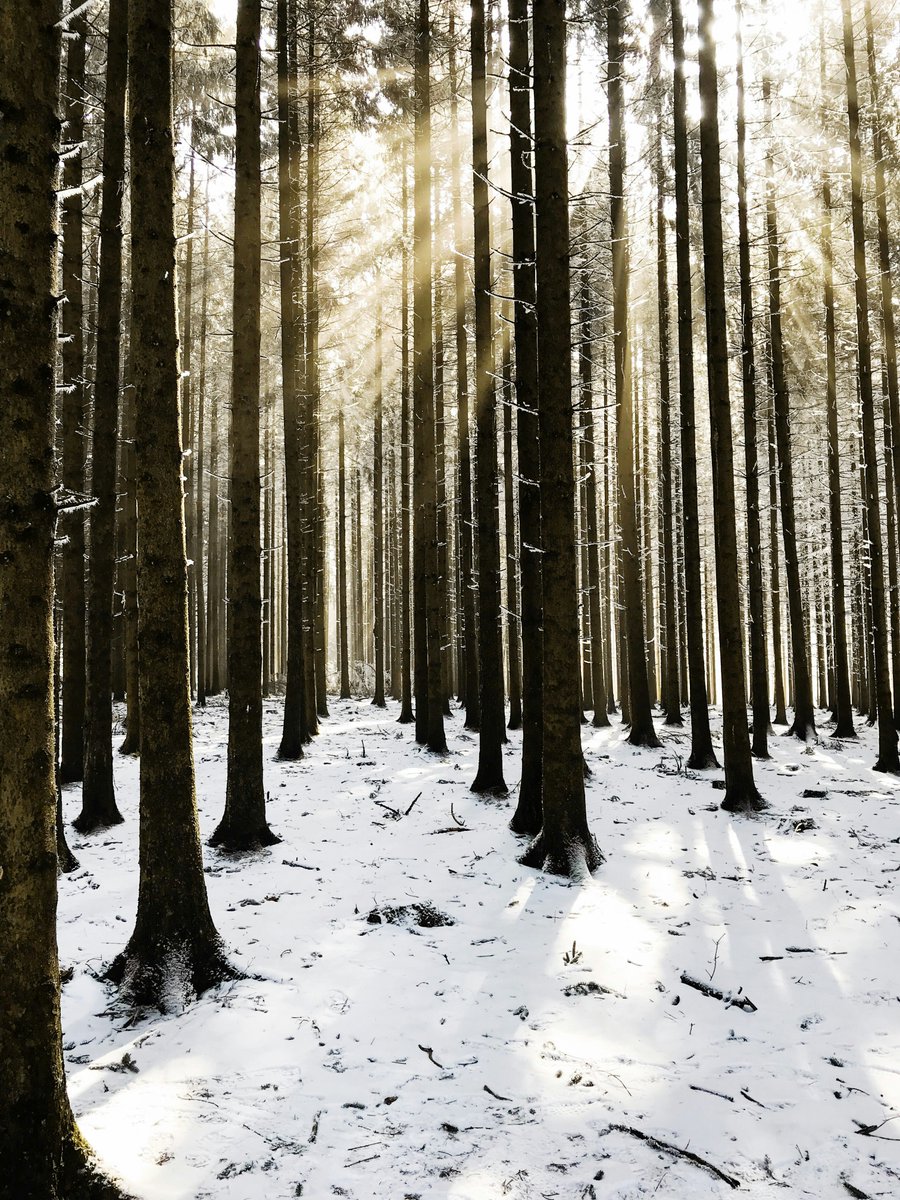 As the year comes to a close, don't forget to read our combined November and December Newsflash!   

👩‍⚕️  Belgian One Health Event: Registration and Posters
🗓️Save the Date: Belgian IPBES Day
📰Two new IPBES assessments are launching

check it out -&gt; biodiversity.be/6078/