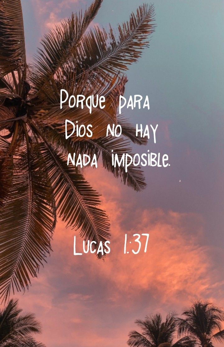 bibliainlinea's tweet photo. https://t.co/eTbEGBbJ3r