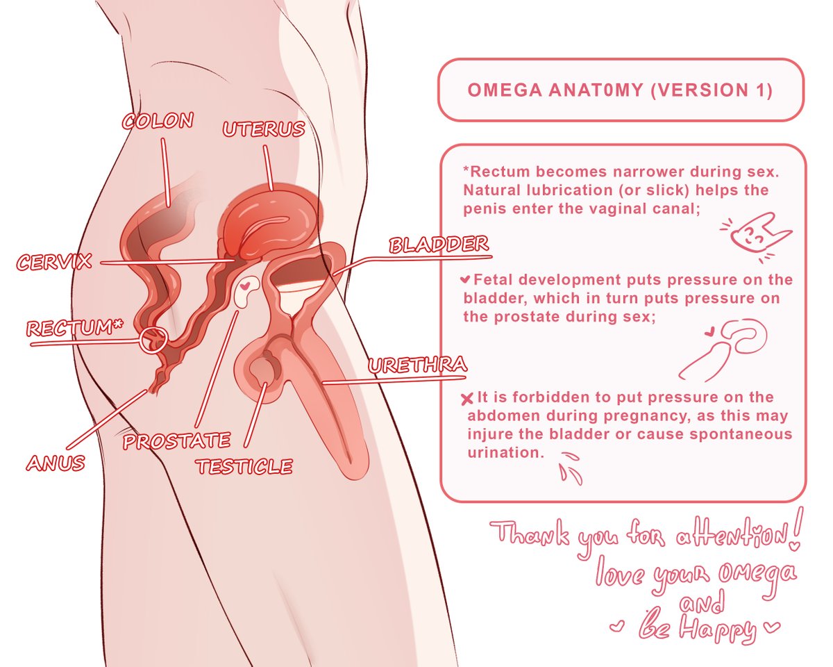 yeobosannsfw's tweet photo. Ω anatomy map https://t.co/yofI5VoQ3V