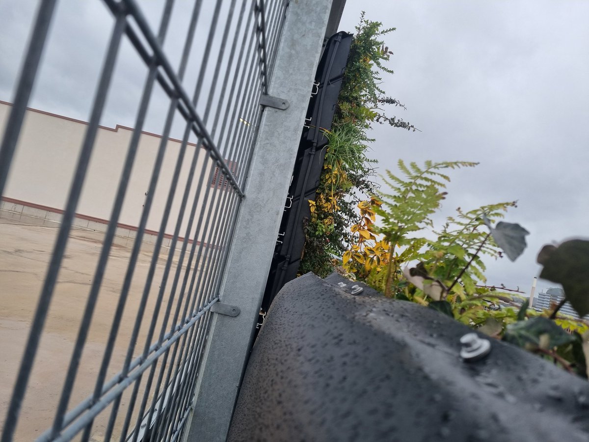 Geography | The King’s School tweet media