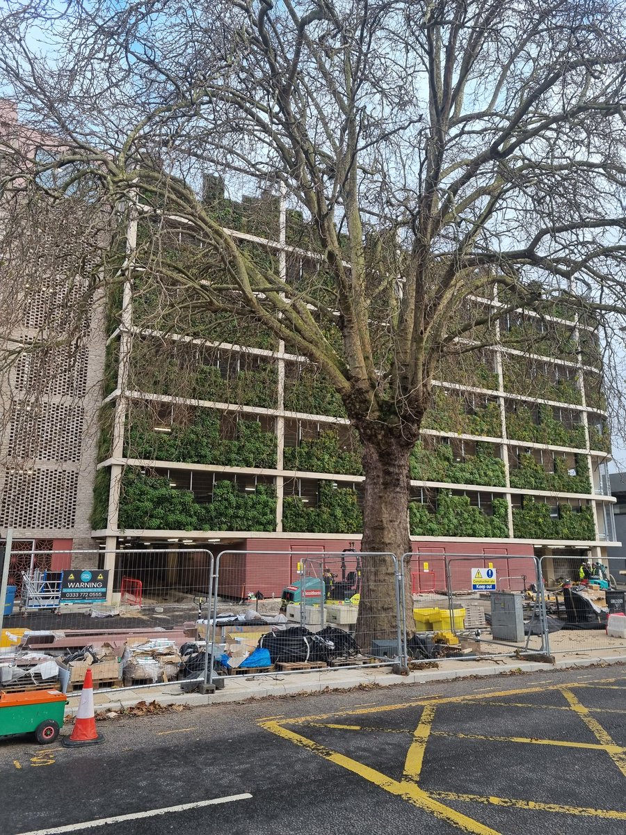 Geography | The King’s School tweet media