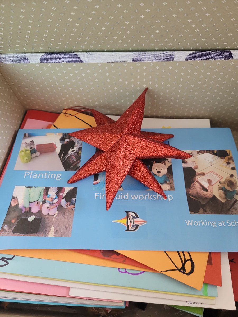 Dani ha llegado a Rumanía, deseando que nuestro amigo de Malta venga a visitarnos 🥰😍