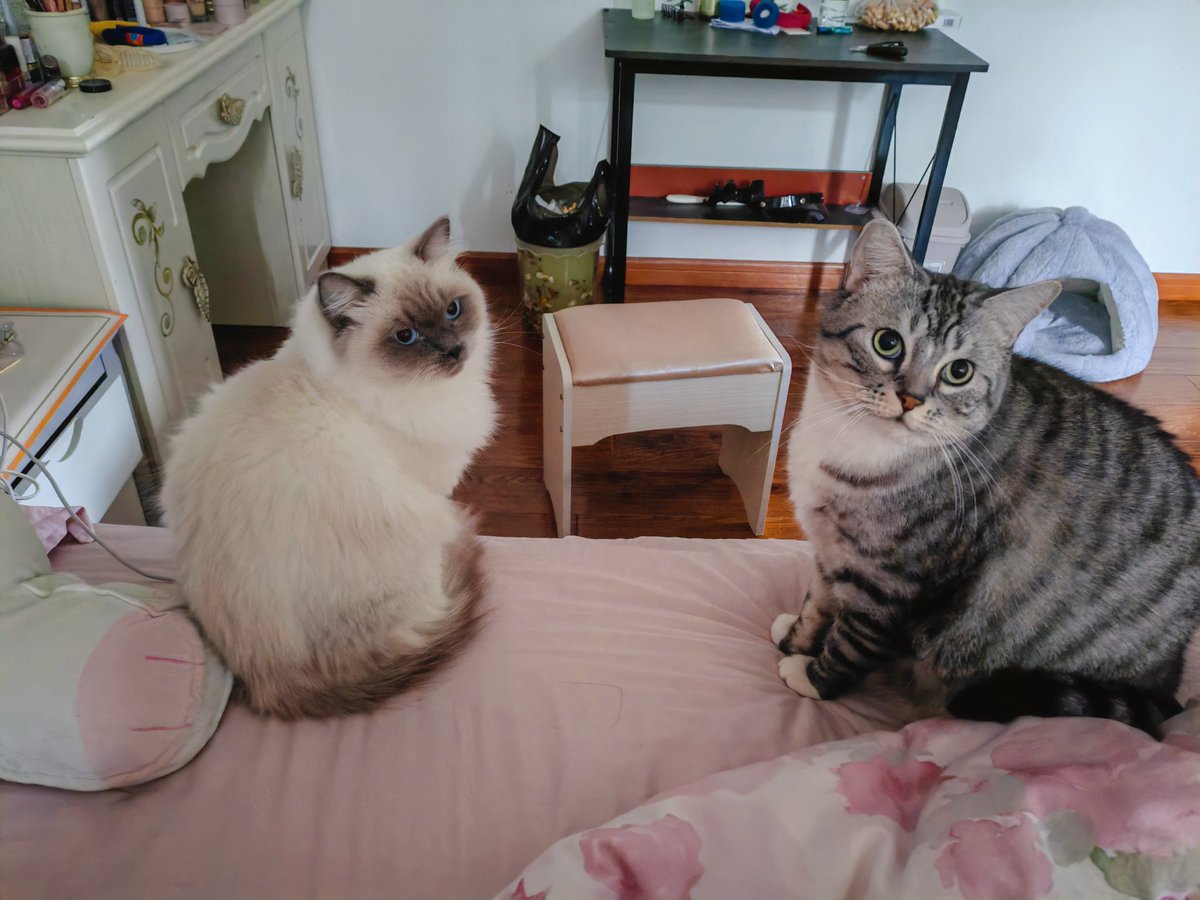 記憶喪失 tweet media