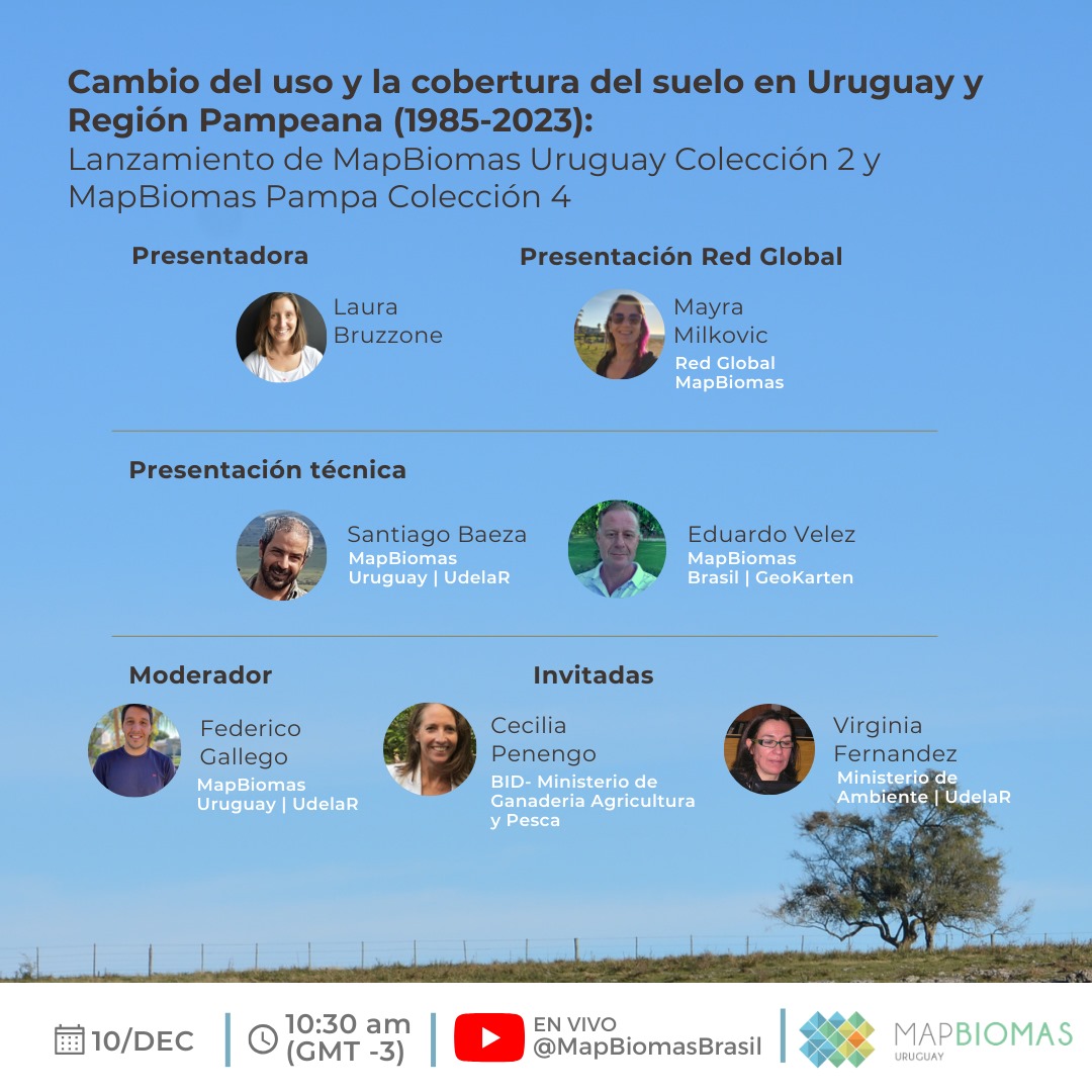 Diego de Abelleyra tweet media