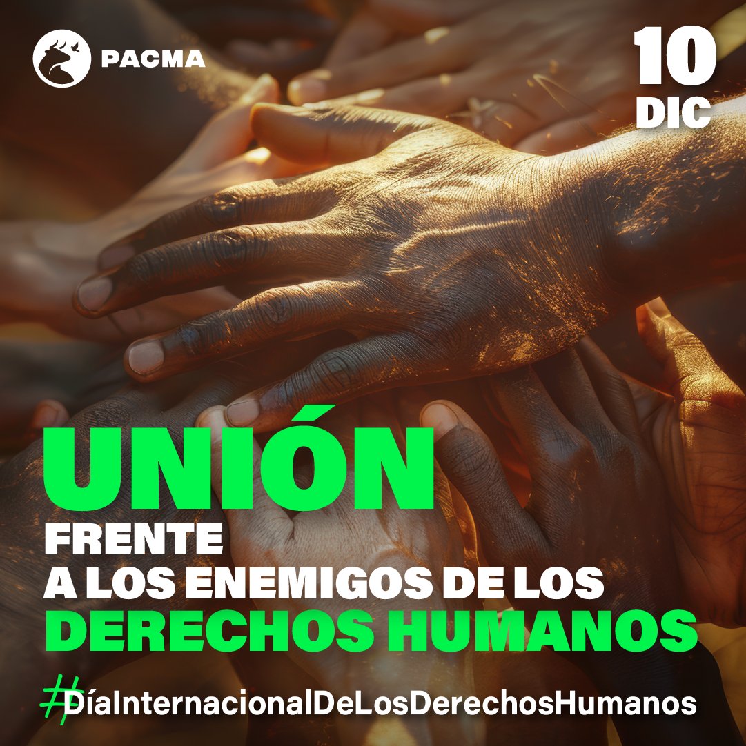 🌍Nuestros derechos, nuestro futuro, ya.

✊En este #DíadelosDerechosHumanos exigimos que se cumplan los derechos universales para todas las personas en el planeta, de forma que nos acerquemos a un futuro mejor.

🕊Por un mundo pacífico, igualitario y sostenible; por una sociedad