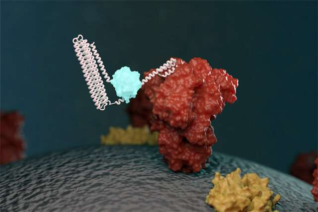 Bsbe2024's tweet photo. New biosensors quickly detect coronavirus proteins and antibodies read more at: https://t.co/ki9njjtfSV for more related information join at: …https://t.co/vXQJONgHb1 #Bio #technologies #sensors #Electronic #skyフレンド募集中 https://t.co/Neq9y4L6SC