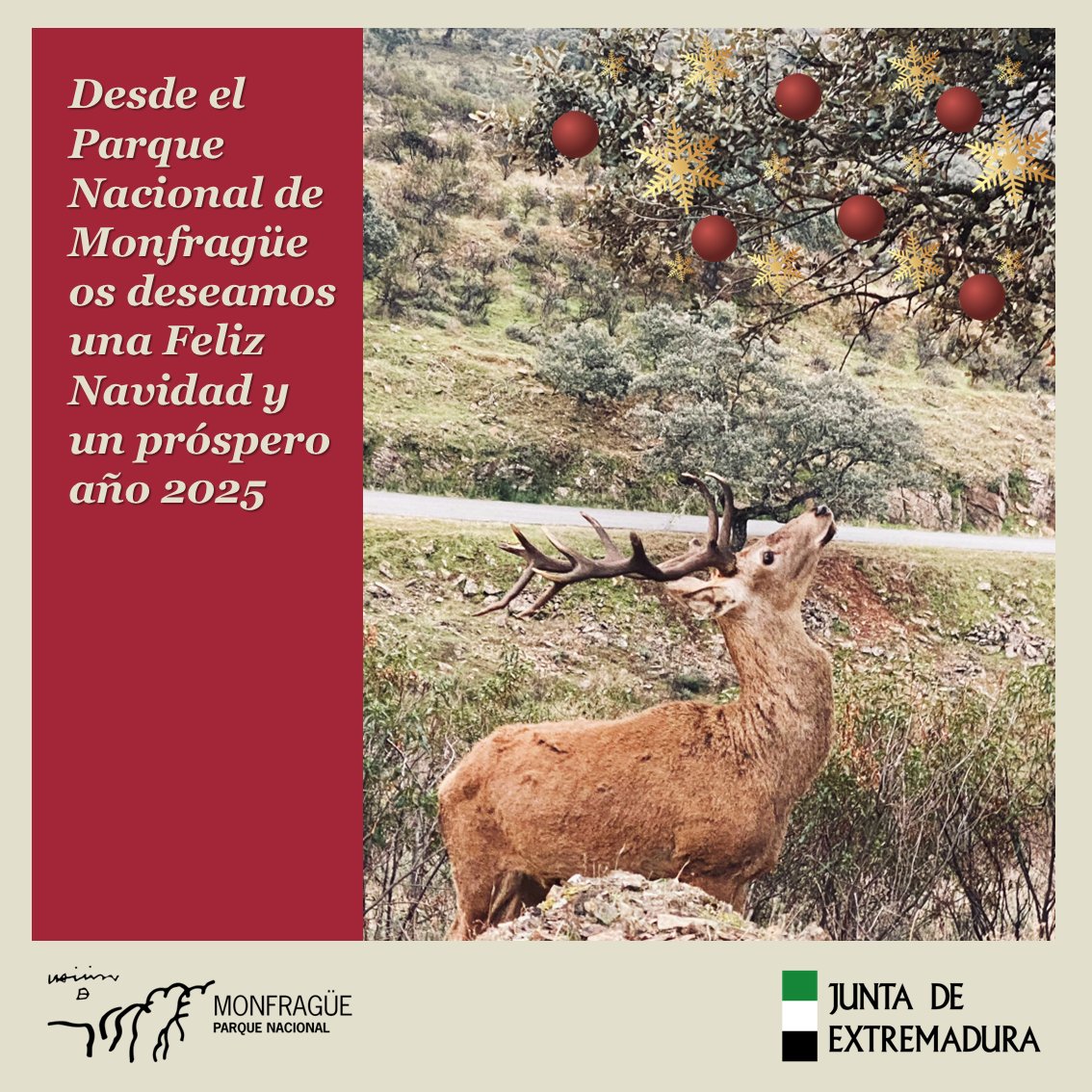 Felices Fiestas
#Monfragüe #ParqueNacional