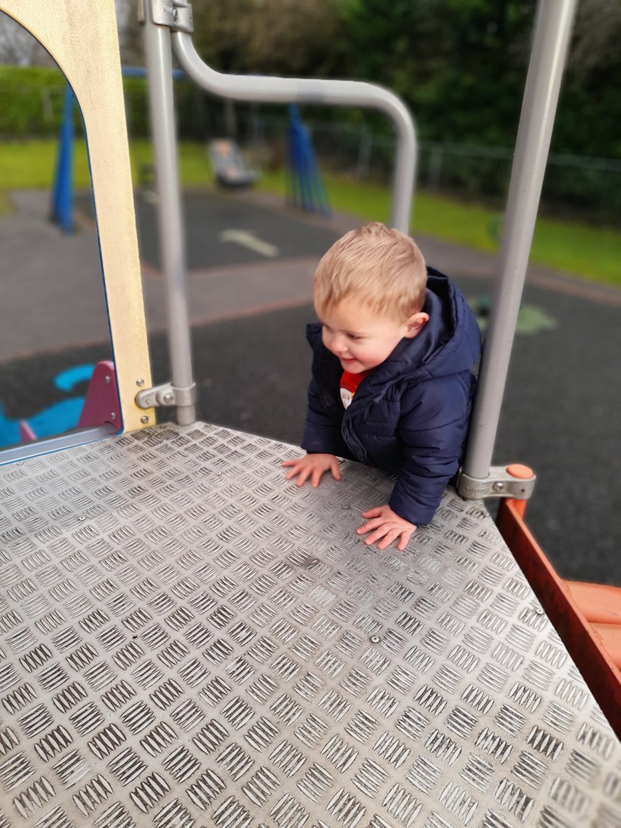 steve_terriers's tweet photo. Early run in yesterday means a fresh and cold half hour in the park https://t.co/HieGf0KaUy