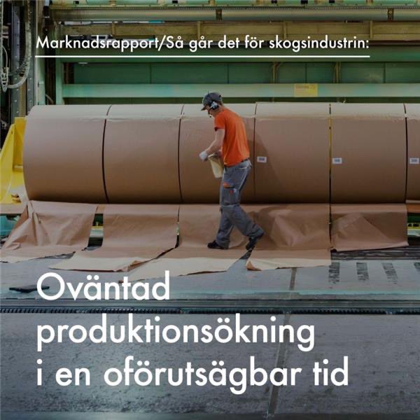 Skogsindustrin's tweet photo. ￼Så går det för skogsindustrin:
🌎 Produktionsökning driven av #export
🪵 En tuff global råvarutillgång &amp; höga kostnader
🇸🇪 Rekordlåga träleveranser till hemmamarknaden
Dessutom -  en fördjupad analys av hur 🇺🇸 handelstullar kan påverka #ekonomi #industri #skogsindustri https://t.co/kWDVQcAlFx