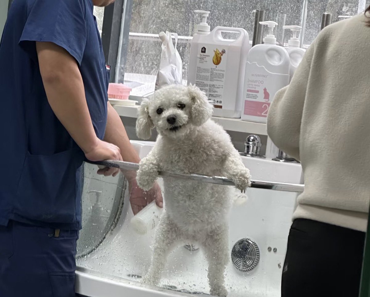俺、お前が飼い主で本当に良かったって思ってるからぁ！！