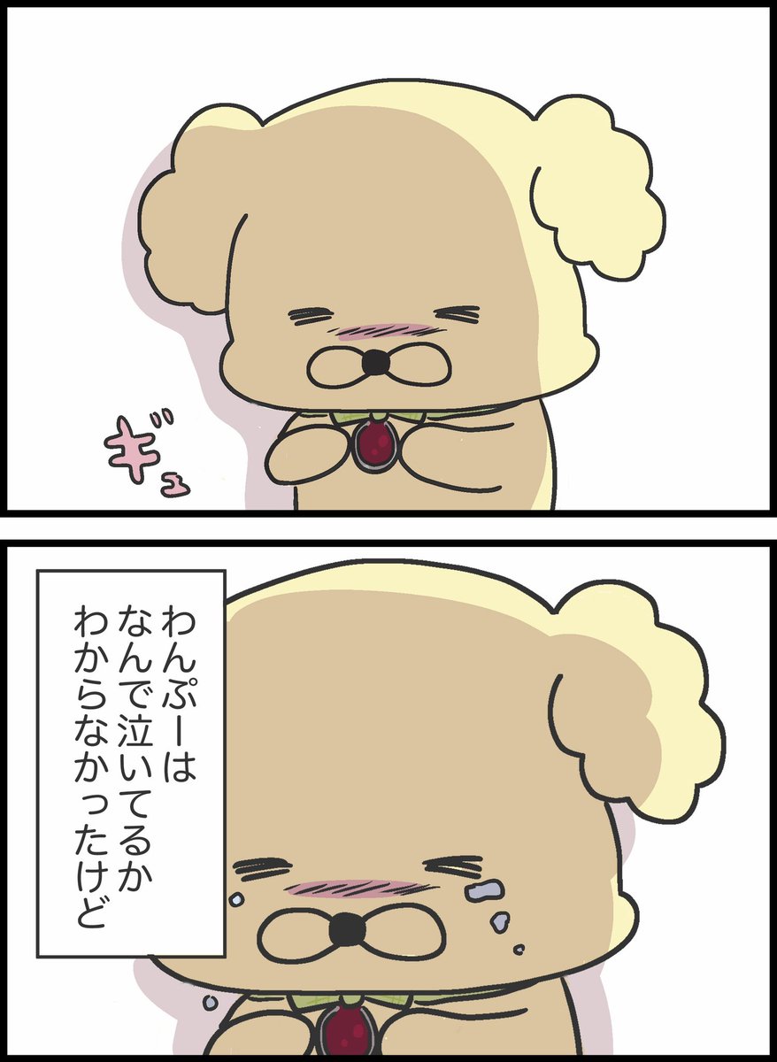 9/9 