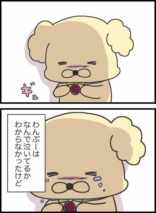 9/9 