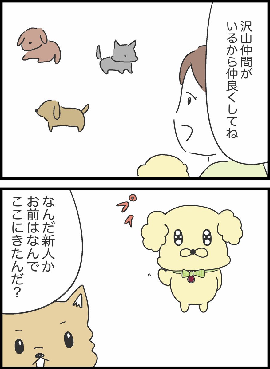 9/9 