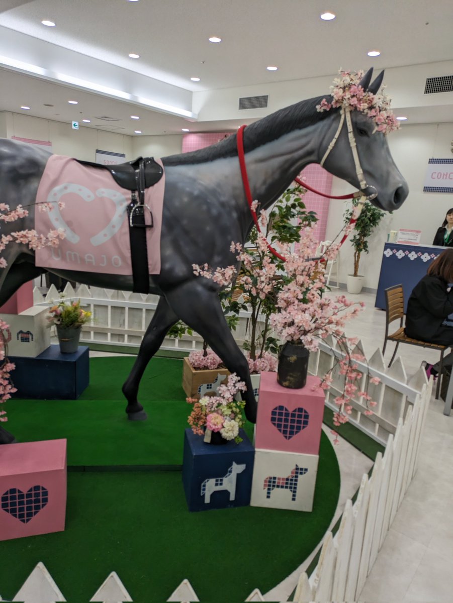 もずく🐴 tweet media