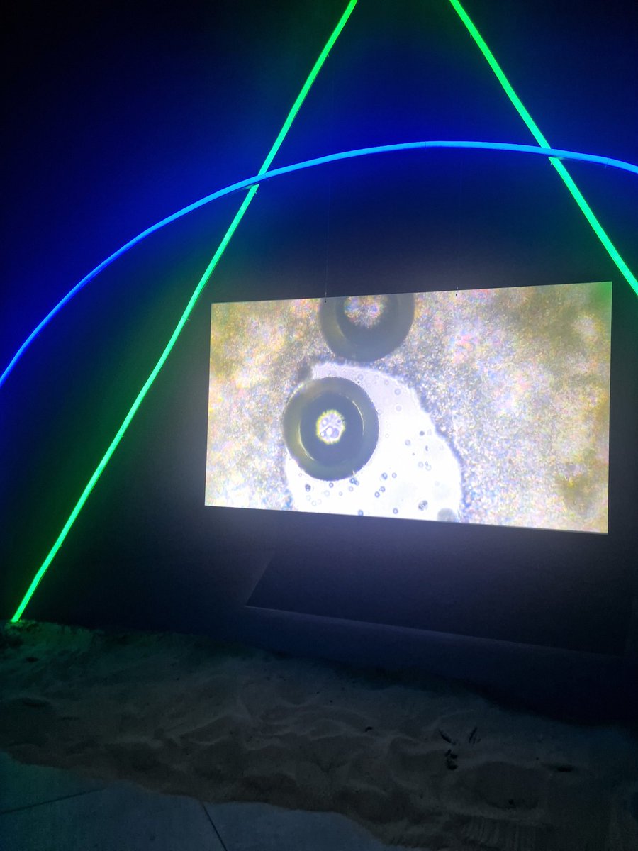 UnlockingBirth's tweet image. We want to see an overarching theme on rapidly changing society. Innovation, tech, analogue to digital #ImplementEquity #Arcfest24 #climate how will we make collaboration with @arc_nwc valuable to #vcsfe sector and communities? #inclusion