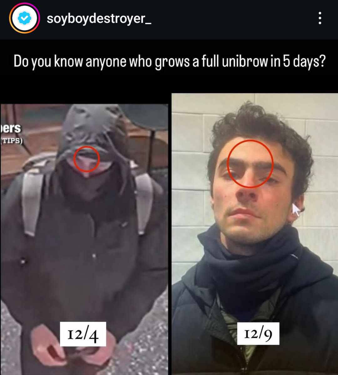 the big fellow tweet media