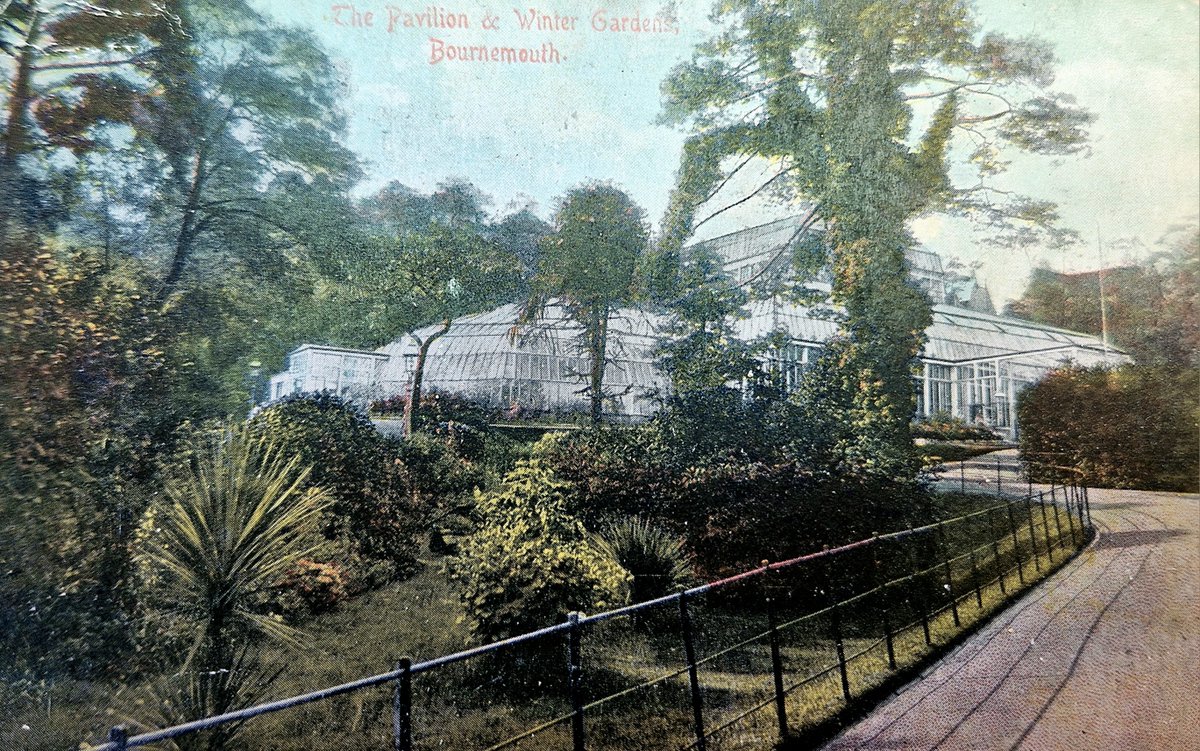 Sent in November 1906 to a woman in Kent, this #postcard highlights the #winter #plantlife that could be seen at #Bournemouth ’s #wintergardens. The Crystal Palace, first built in the 1800s, can be seen behind. Perhaps this was sent by someone on a winter holiday? #20thcentury