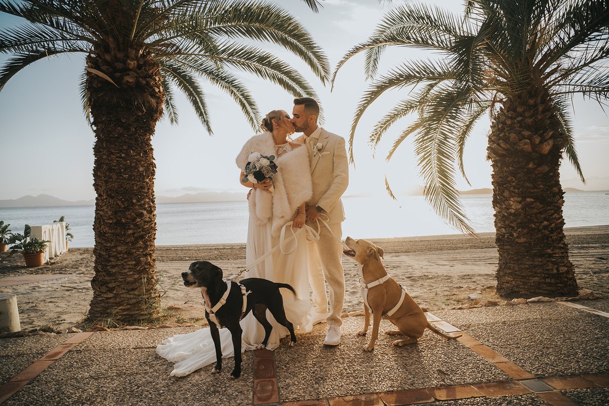 areasunset_'s tweet photo. En este gran día, no podían faltar TODOS los miembros de la familia, incluso los de 4 patas. 🐶

Esta boda tuvo invitados de lo más especiales. 🐾❤️ https://t.co/L5wXcZKB2p