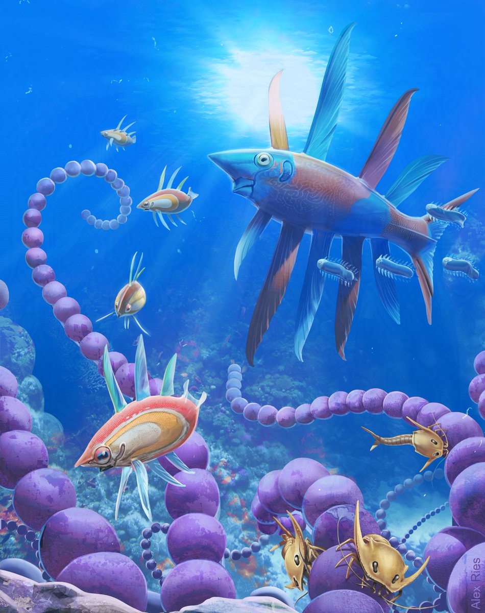 alexriesart's tweet photo. Part of an educational project I collaborated on with Tyler Rhodes; children used evolutionary principles to design their own life-forms, and I then painted a selection of them :) https://t.co/J5Dh2CdMpq