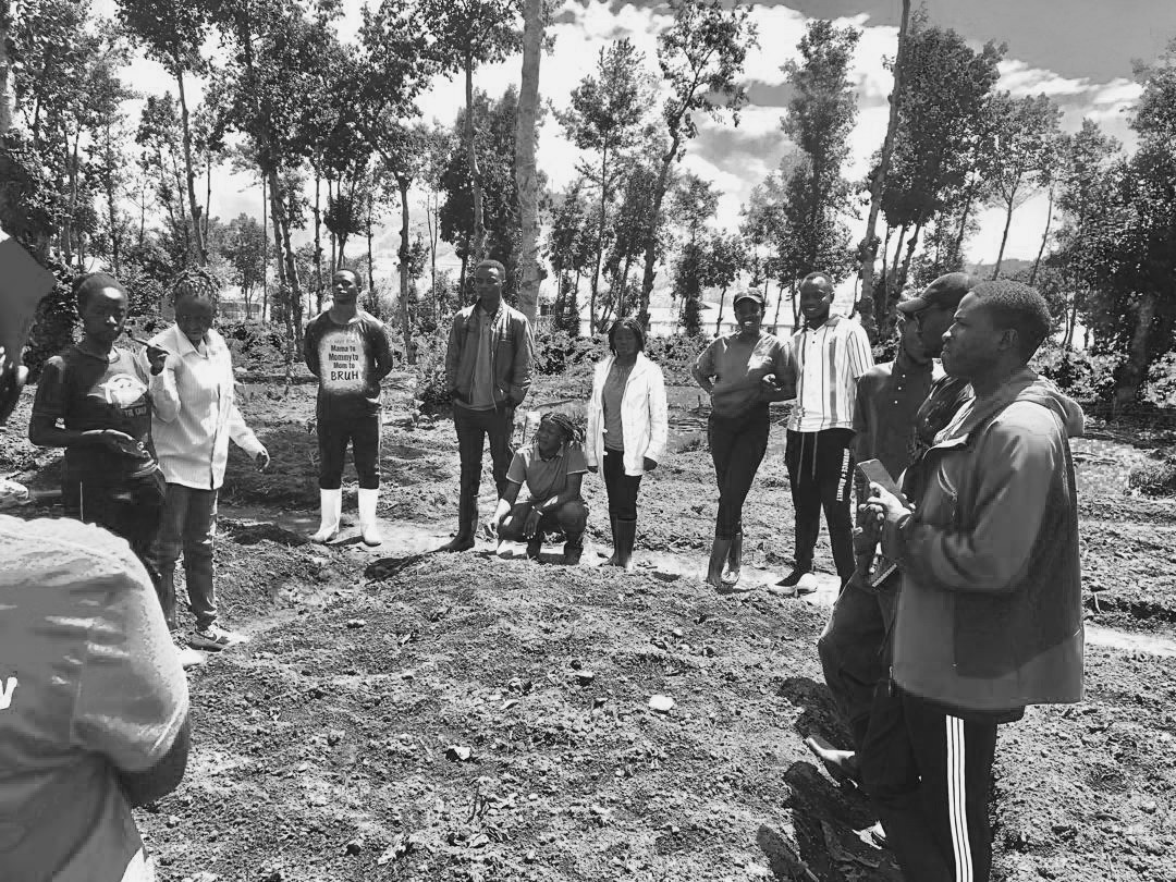 AimePatrickIra1's tweet photo. Good Afternoon Fellow Farmers🌿🥦🌽🥀
To day we have an interesting discussion and Research practices about an effective tillage practices in Regenerative Agriculture and Diagnosis of Diseases on field in our Internships #SustainableAg #Agrireseachungukltd #youthInAgrifoodsytem🫑 https://t.co/ryX9519snz
