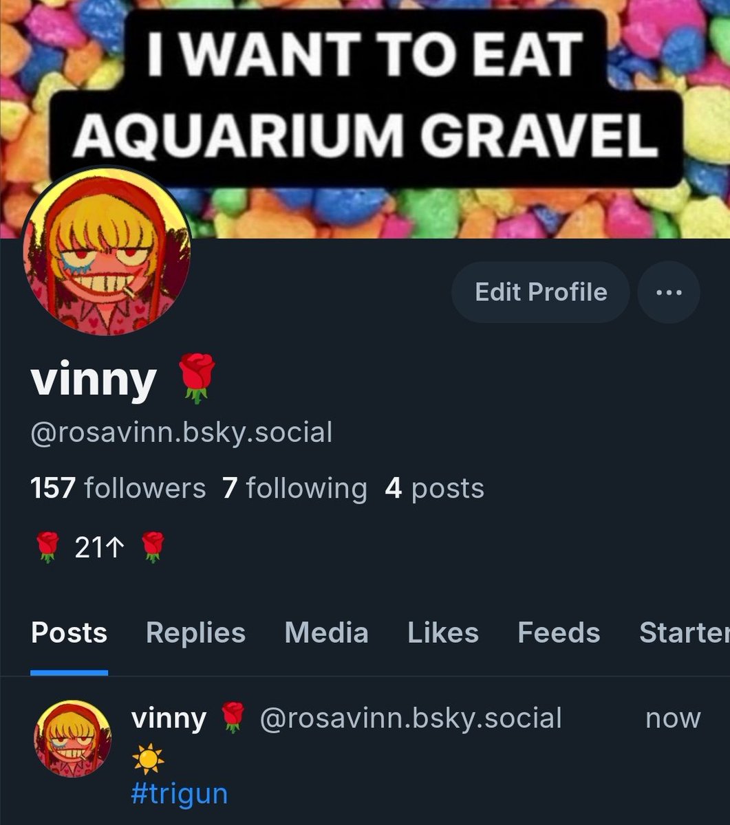 vinny 🌹 tweet media