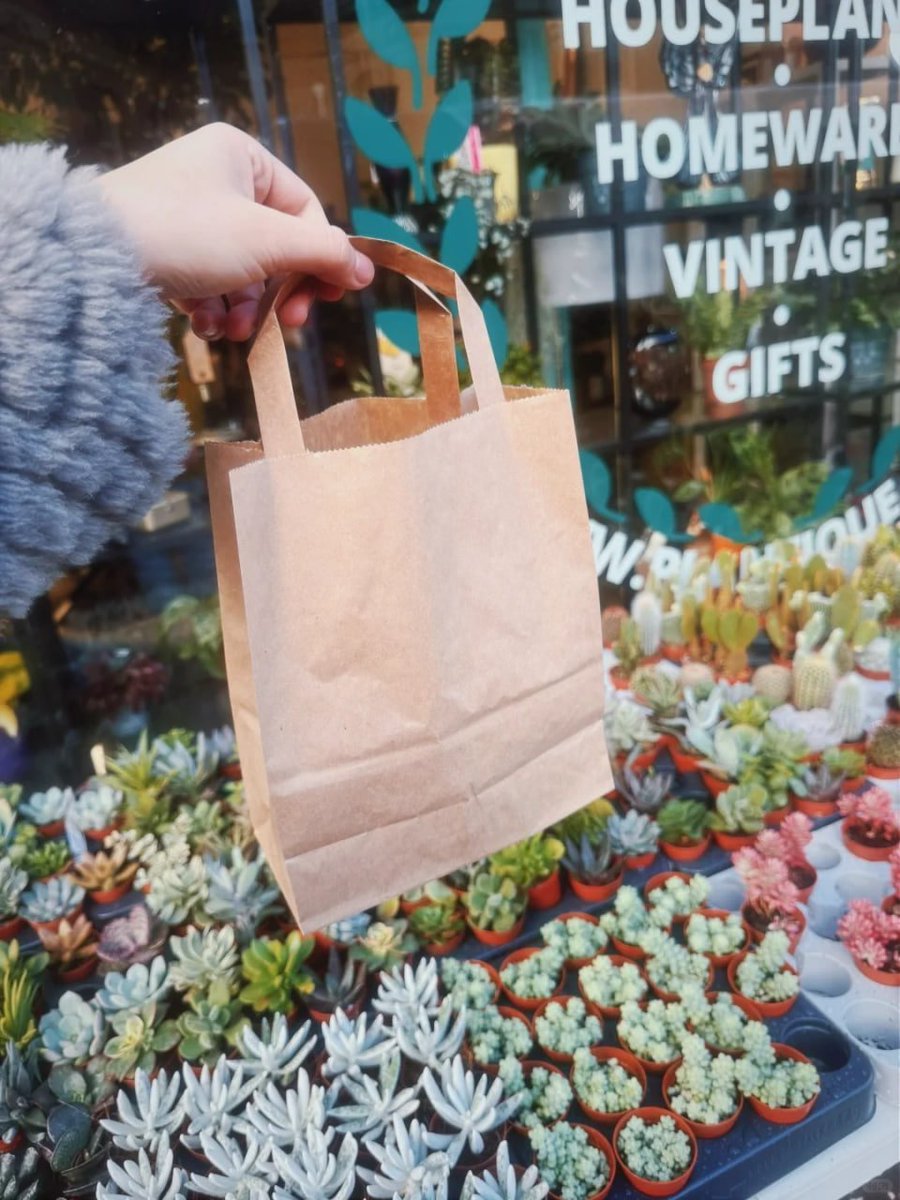 komplex06's tweet image. Finding beauty in the small things—like these charming little succulents. 🌱✨