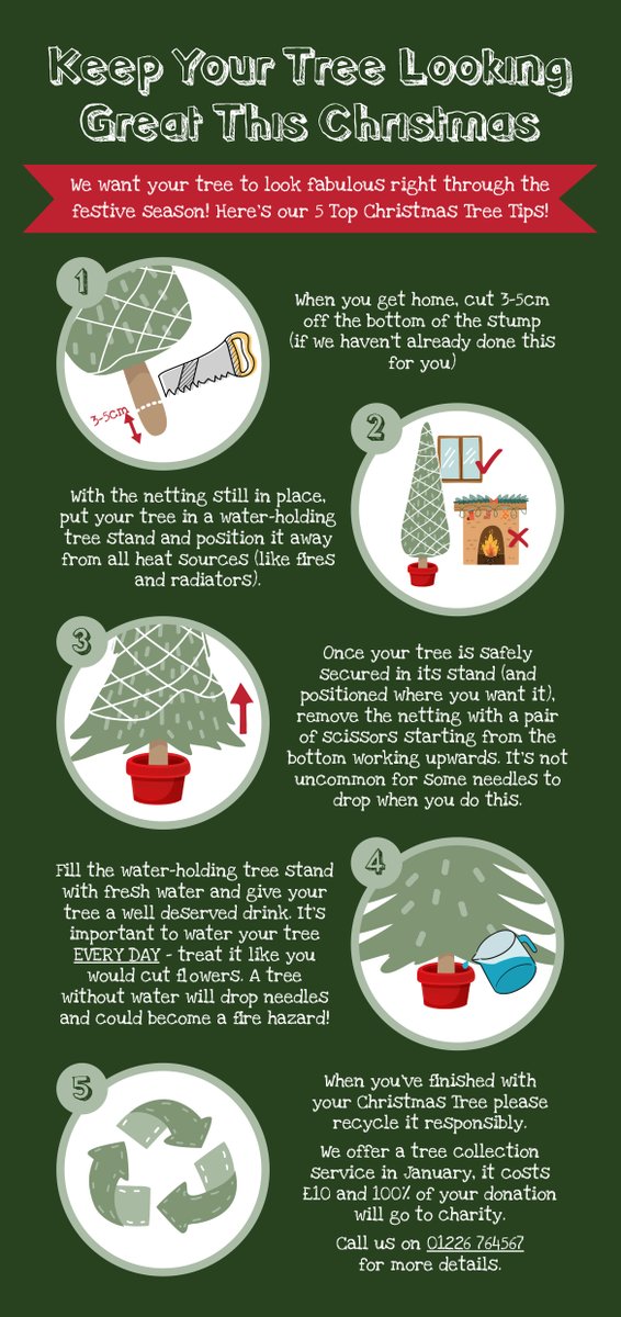 BulkGroup's tweet photo. Keep your Bulk Christmas Tree looking grrreat right through until the New Year with our  top ⓹ care tips! 🎄 🚿
#Penistone #Barnsley #Dodworth #DenbyDale #Holmfirth #Stocksbridge #Hoylandswaine #Thurgoland #Thurlstone #HadeEdge #Carlecotes https://t.co/Y7DO97S7PH