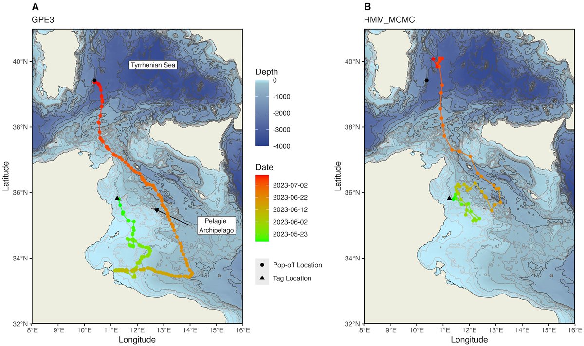 Francesco Ferretti (@bestinoblu) on Twitter photo First satellite track of a juvenile shortfin mako #shark in the Mediterranean Sea bit.ly/makomed <a href="/ExplorersClub/">The Explorers Club</a> <a href="/Discovery/">Discovery</a> #Augmentum <a href="/sharkproject/">Sharkproject International</a> <a href="/Bertarelli_fdn/">Bertarelli Foundation</a> #AcornAlcinda First satellite track of a juvenile shortfin mako #shark in the Mediterranean Sea bit.ly/makomed <a href="/ExplorersClub/">The Explorers Club</a> <a href="/Discovery/">Discovery</a> #Augmentum <a href="/sharkproject/">Sharkproject International</a> <a href="/Bertarelli_fdn/">Bertarelli Foundation</a> #AcornAlcinda