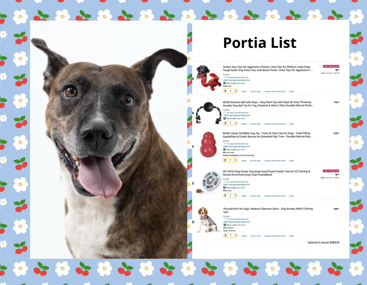 winniepoodl's tweet photo. And last but not least, of course, Portia🌸, our final dog in this donation week from Team Winnie to Joey's Friends. Portia, enjoy your Amazon wishlist! 🦴✨💕
#joeysfriends #amazon #dogrescue #makingachange https://t.co/u7mgJGKtZE