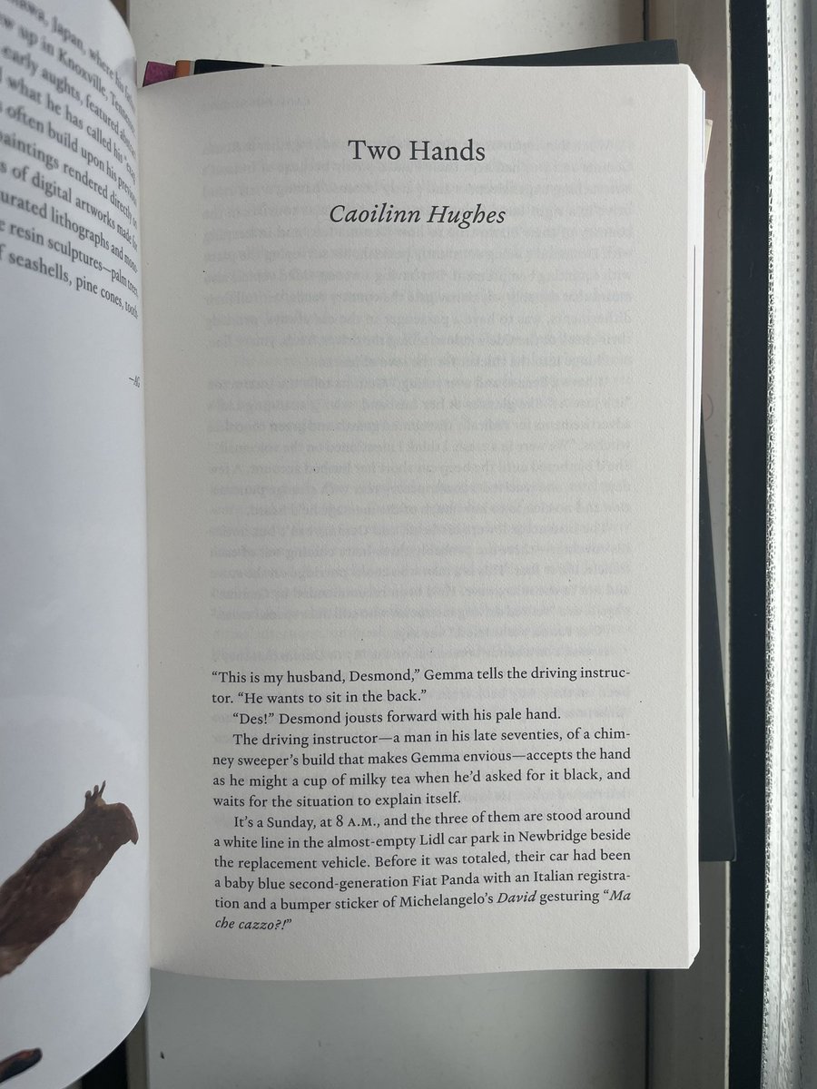 Caoilinn Hughes tweet media