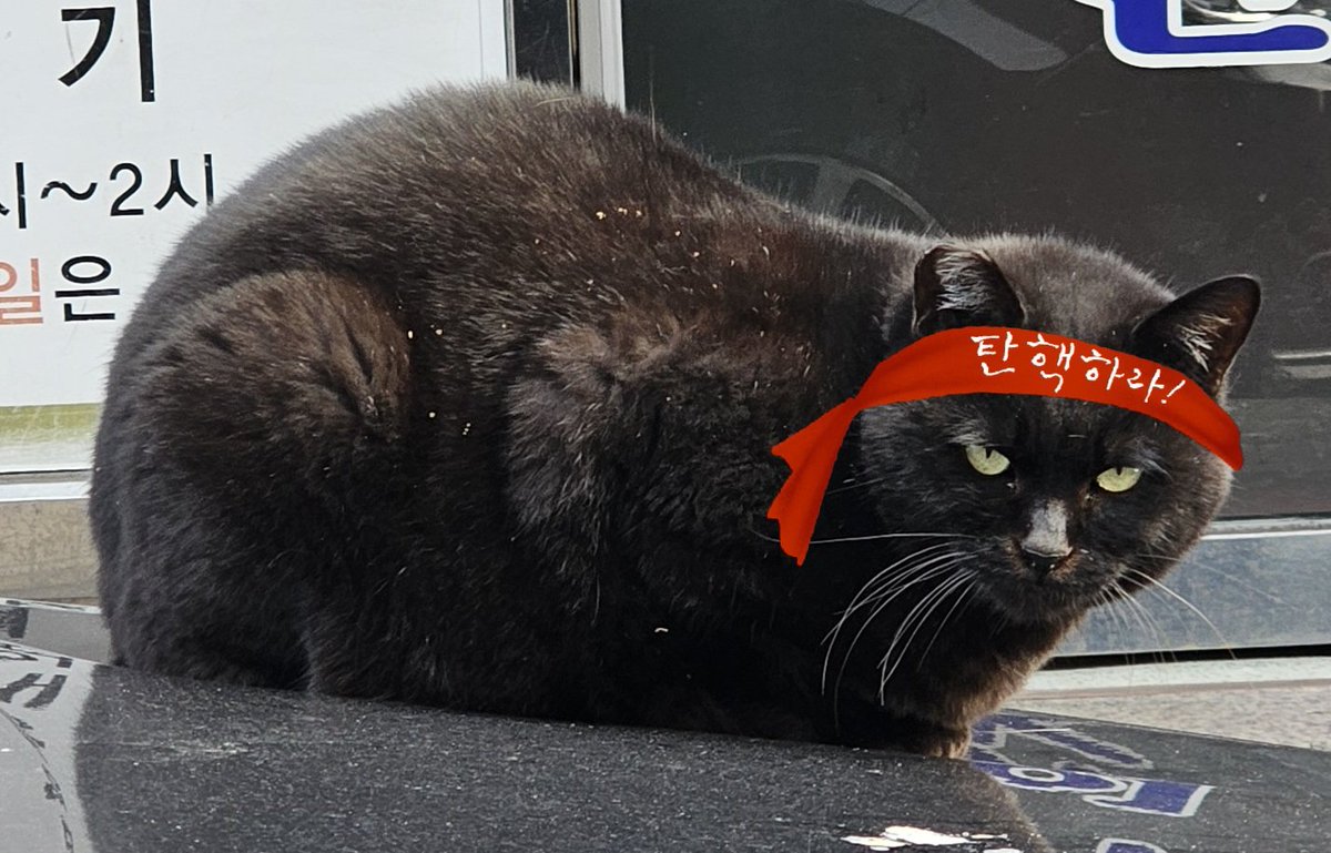 100bean's tweet photo. https://t.co/0xdwXPVt5U