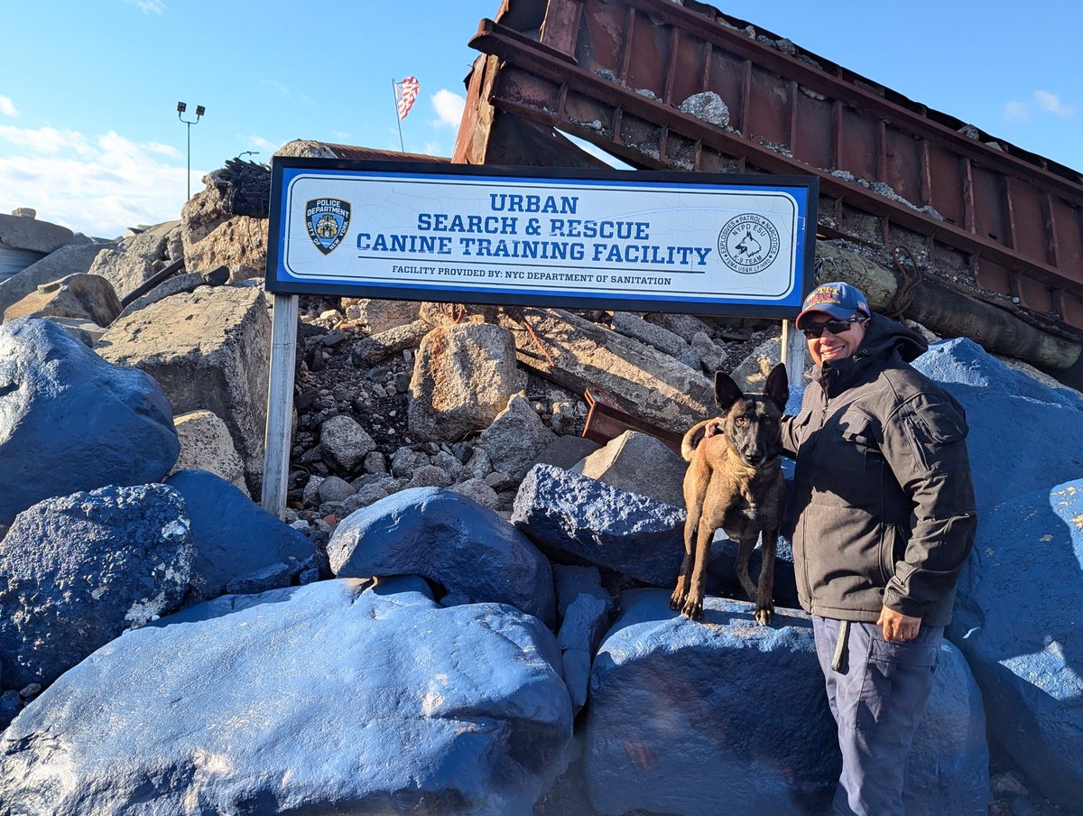 VATF1's tweet image. Congrats to two more of our canine handlers! Christopher Holmes with Margo and Tiffany Perez with Bunker both certified last week at New York Task Force One's canine training facility!
Awesome job!
@ffxfirerescue