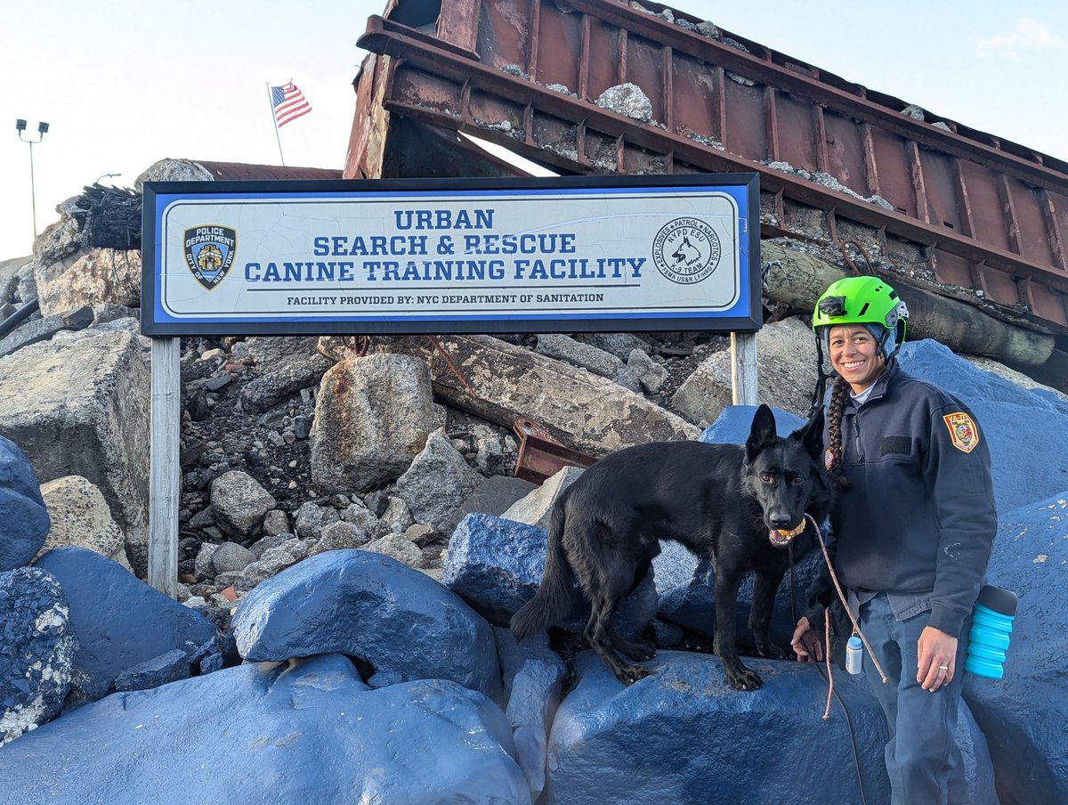 VA-TF1 / USA-1 - Urban Search and Rescue (@vatf1) on Twitter photo Congrats to two more of our canine handlers! Christopher Holmes with Margo and Tiffany Perez with Bunker both certified last week at New York Task Force One's canine training facility!
Awesome job!
<a href="/ffxfirerescue/">Fairfax County Fire/Rescue</a> Congrats to two more of our canine handlers! Christopher Holmes with Margo and Tiffany Perez with Bunker both certified last week at New York Task Force One's canine training facility!
Awesome job!
<a href="/ffxfirerescue/">Fairfax County Fire/Rescue</a>