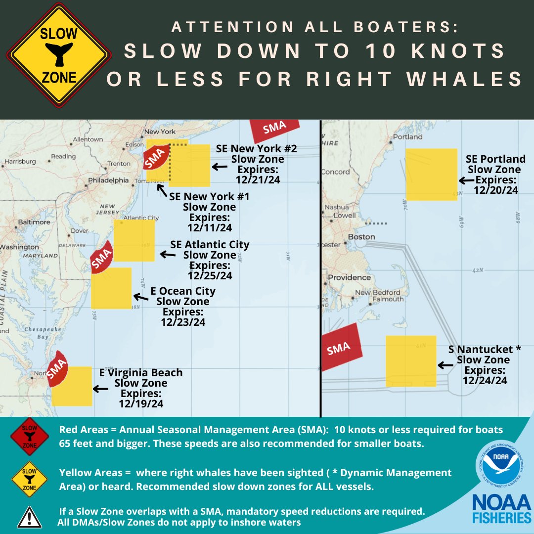 NOAAFish_GARFO's tweet photo. New #RightWhale #SlowZone and Two Extensions: E of Ocean City, MD, S of Nantucket, MA, and SE of Atlantic City, NJ. Mariners are requested to avoid or transit at 10 kts or less. See map for locations of all the Slow Zones. Sign up for alerts here: https://t.co/q1hnyM1ymD https://t.co/BoiDmldFE6
