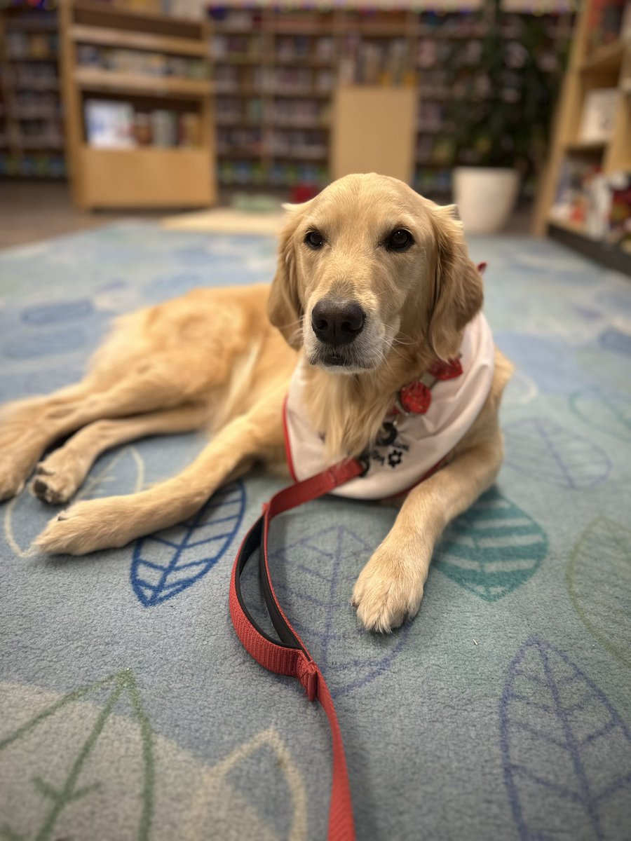 Some magical moments this morning with Gracie ✨🐾