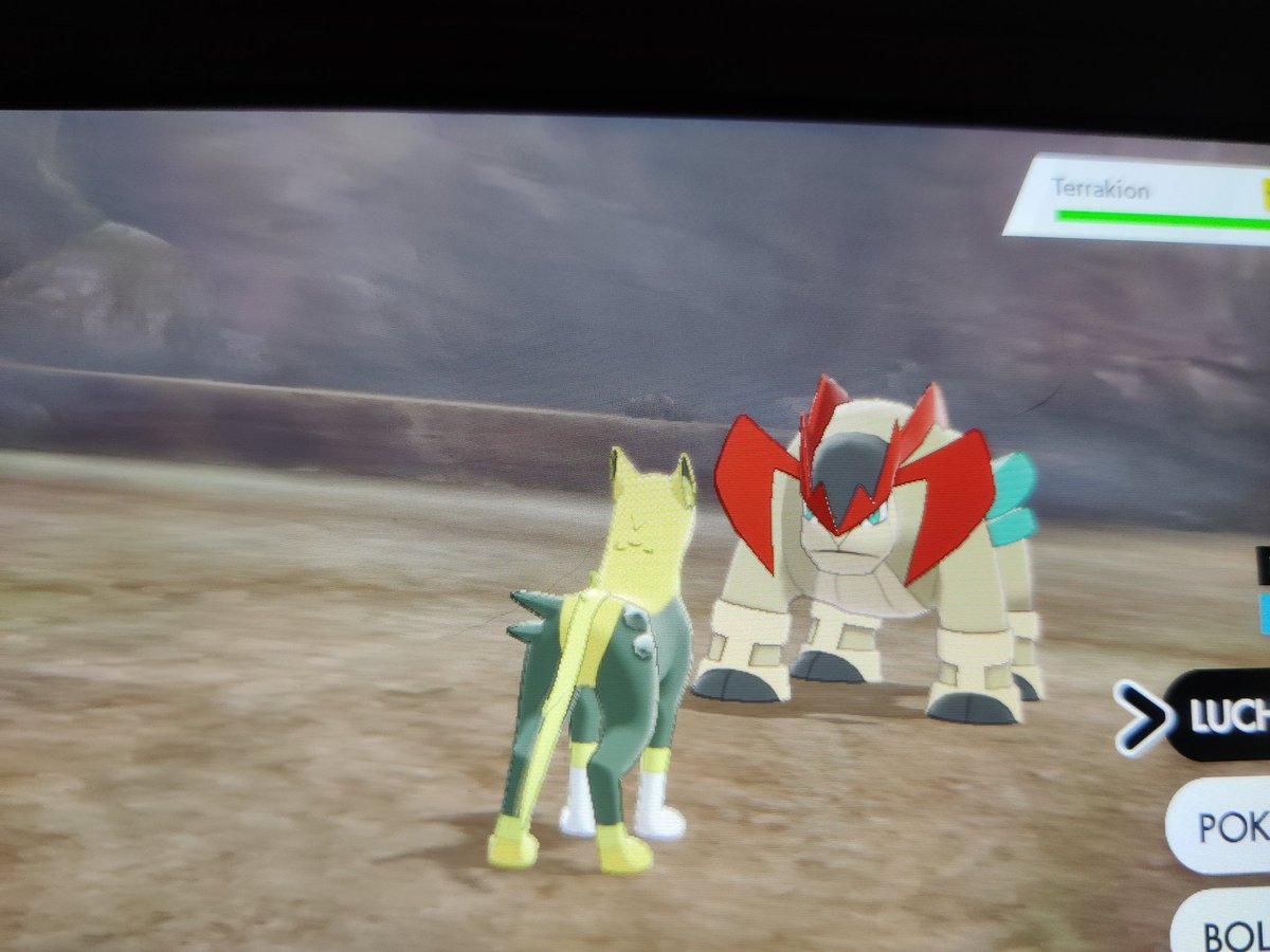 Pepebeatbox1's tweet photo. Por fin he conseguido sacar shiny al trio de espadachines Cobalion, Terrakion y Virizion.
#shinyhunt #pokemonescudo #resets #espadachines https://t.co/JD62LjHj0P