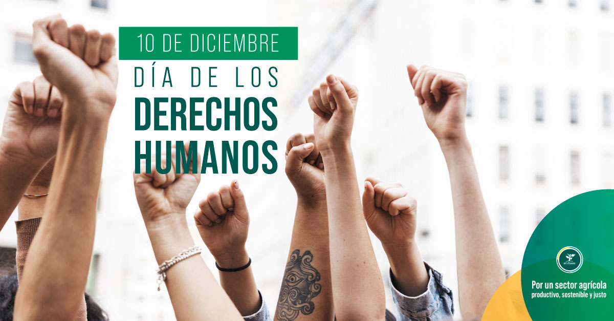 🫂🟡Día de los Derechos Humanos: “Nuestros derechos, nuestro futuro, ya”‼️💚

✅El Día de los Derechos Humanos conmemora la existencia de los derechos básicos e irrenunciables que cada ser humano posee. 📌 💪🌱