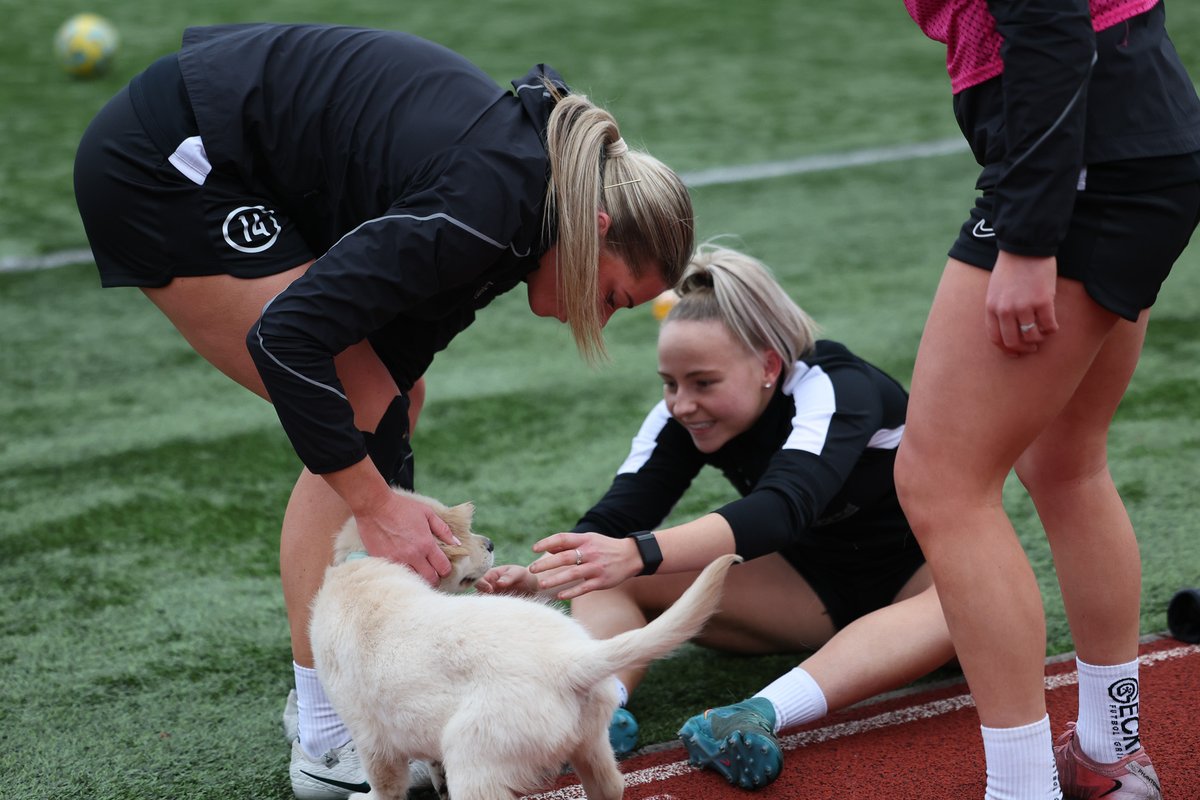When the groundsman's dog takes over training...🐶🥹

#DurhamWFC