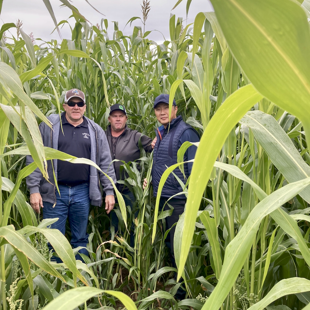 Mongolian company turns to Canada for agricultural expertise: “If I was 20 years younger, I wouldn’t be here in Canada. There’s huge opportunities over there.”  vist.ly/3mpiv63