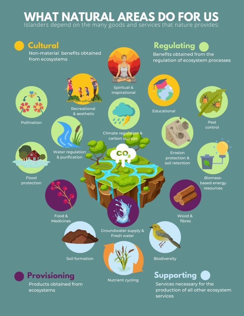🌿 Ecology, as a science, has a central role in identifying sustainability problems and searching for solutions to face them.
 
Ecologists recognize 4 different types of ecosystem services that benefit people 👇

via <a href="/NbsPlatform/">NatureBasedSolutions</a>